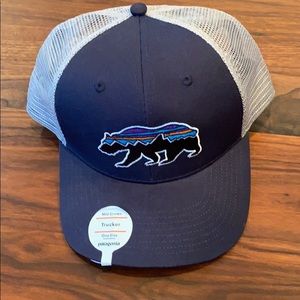 Patagonia Fitz Roy Bear Trucker Hat